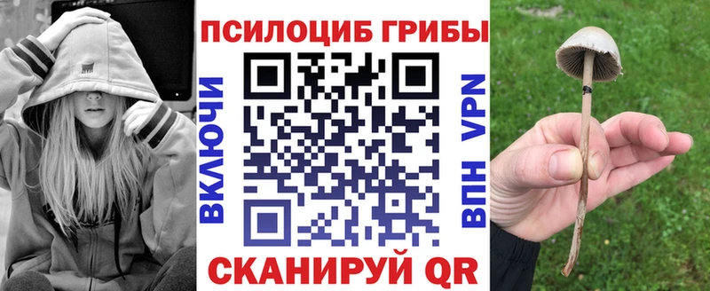 Псилоцибиновые грибы MAGIC MUSHROOMS  даркнет сайт  Новочеркасск 