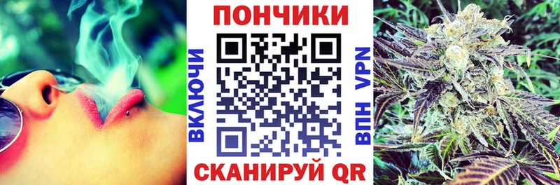 Марихуана конопля  Новочеркасск 